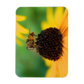 Les abeilles de l'été - Daisy Magnet (Vertical)