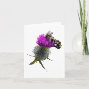Les abeilles sur la carte à fleur de chardon