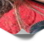 Les affiches de Sarah Palin (Coin)