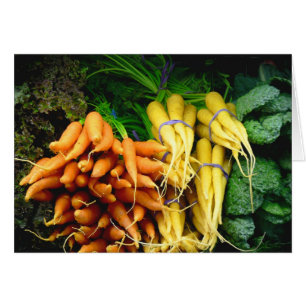 les agriculteurs commercialisent des carottes