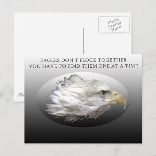 Les aigles ne volent pas ensemble Carte postale (Devant / Derrière)