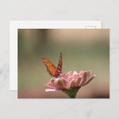 Les ailes — Carte postale Papillon (Devant / Derrière)