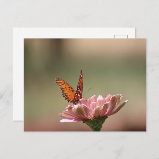 Les ailes — Carte postale Papillon (Devant / Derrière)