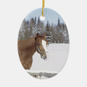 Les amateurs de chevaux Décorations de vacances