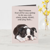 Les amis sont comme la carte de chiens (Fleur jaune)