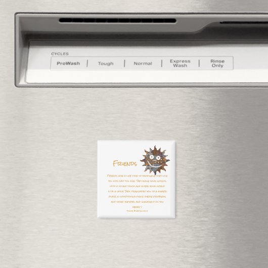 Les amis sont des aimants (In Situ (Lave-vaisselle))