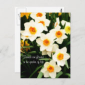 Les amis sont des fleurs Citation Daffodils Carte (Devant / Derrière)