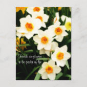 Les amis sont des fleurs Citation Daffodils Carte  (Devant)