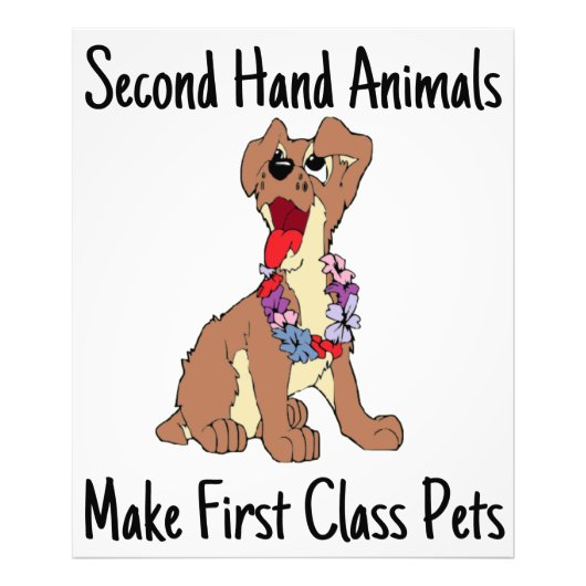 Les animaux de seconde main font la première photo (Devant)