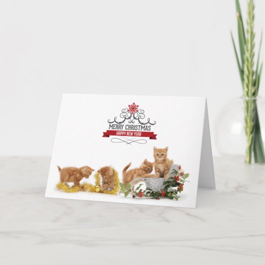 Les animaux mignons chats carte de Noël (Devant)