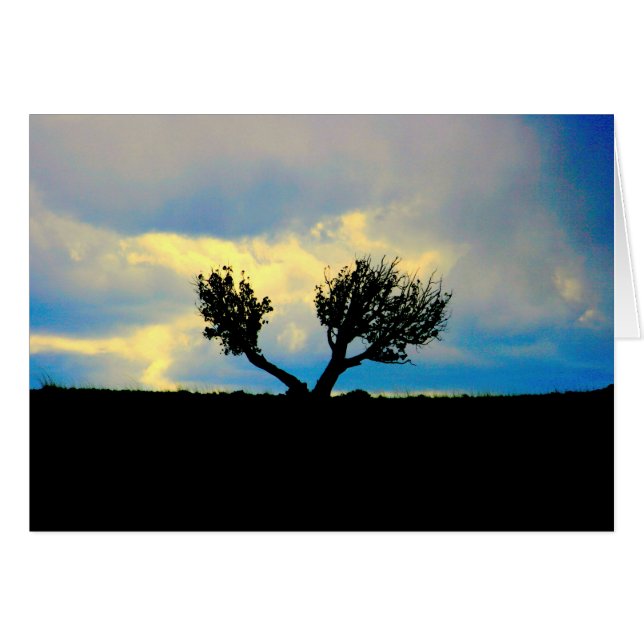 Les arbres dans le désert (Devant horizontal)