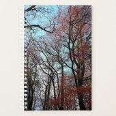 Les arbres d'automne (Devant)