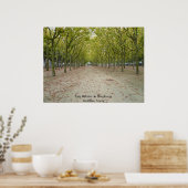 Les Arbres du Bordeaux Poster (Keuken)