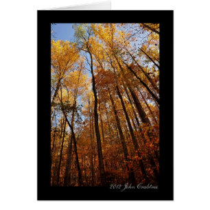 Les arbres du sentier naturel Elkmont dans les Smo