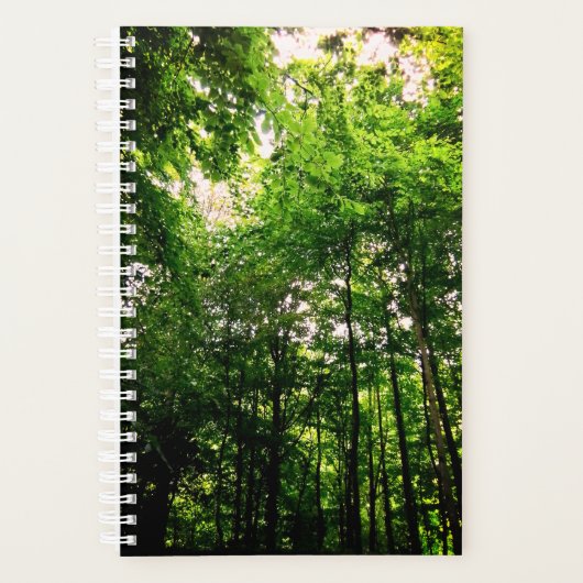 Les arbres verts (Devant)