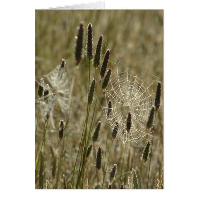 Les artistes de la nature (Devant)