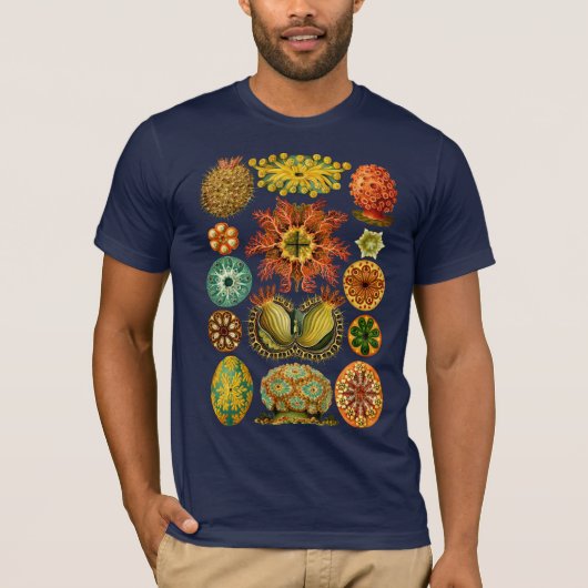 Les ASCIDIACEA de HAECKEL - T-shirt (Devant)