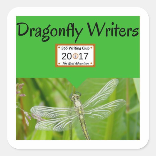 Les autocollants de libellules ! (Devant)