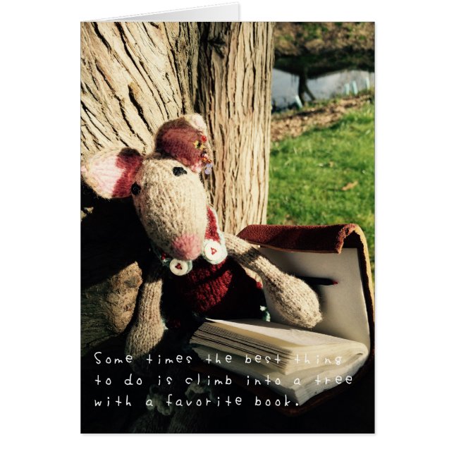 Les aventures Extraordinaires d'Amelia (Devant)