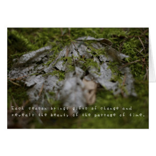 Les aventures extraordinaires d'Amelia