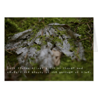 Les aventures Extraordinaires d'Amelia