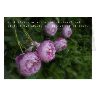 Les aventures Extraordinaires d'Amelia