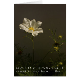 Les aventures extraordinaires d'Amelia