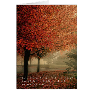 Les aventures extraordinaires d'Amelia