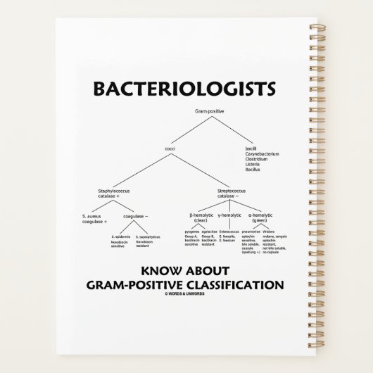 Les bactériologistes connaissent la classification (Dos)