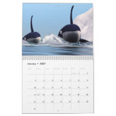 Les baleines du calendrier mondial (Jan 2027)