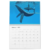 Les baleines du calendrier mondial (Feb 2027)