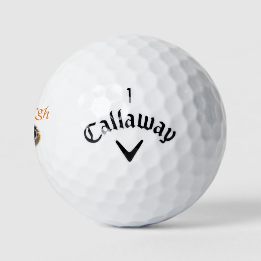 Les balles de golf de Pittsburgh (Logo)