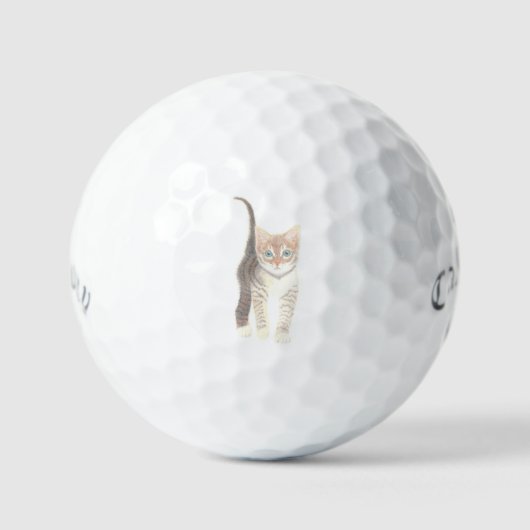 Les balles de golf de Tabby Cat (Recto)
