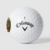 Les balles de golf historiques (Logo)