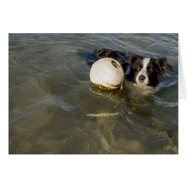 Les balles de tennis sont pour les faibles ! (Devant horizontal)