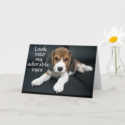LES BEGS beagles "AVEZ UNE BONNE CARTE D'ANNIVERSA (Petite plante)