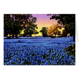 Les Bluebonnets du Texas couvrent un champ au couc