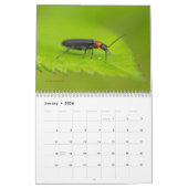 Les bogues n'obtiennent aucun respect Calendrier # (Jan 2026)