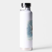 Les bouteilles d'eau de la fée de l'hiver (Plage)
