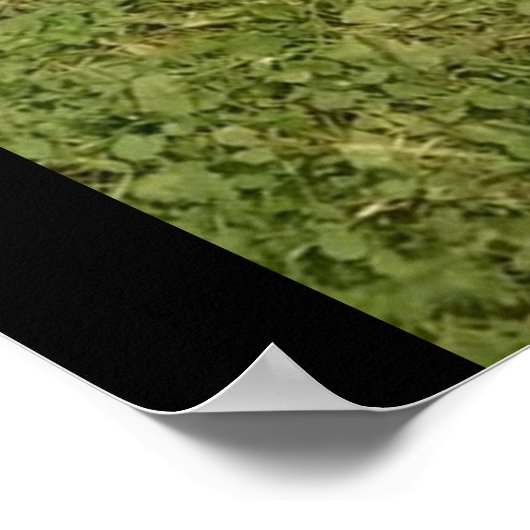 LES BOXERS SONT UNE affiche spéciale (Coin)