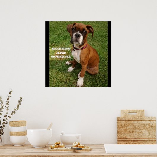 LES BOXERS SONT UNE affiche spéciale (Cuisine)