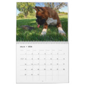 Les boxeurs veulent juste avoir le calendrier de (Mar 2026)