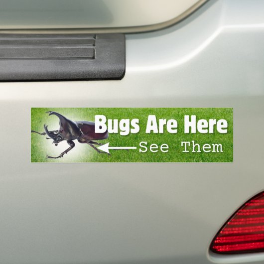 Les Bugs Sont Là... Autocollant pare-chocs Rhino B (En voiture)