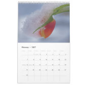 Les calendriers de 2025 continuent (Feb 2027)