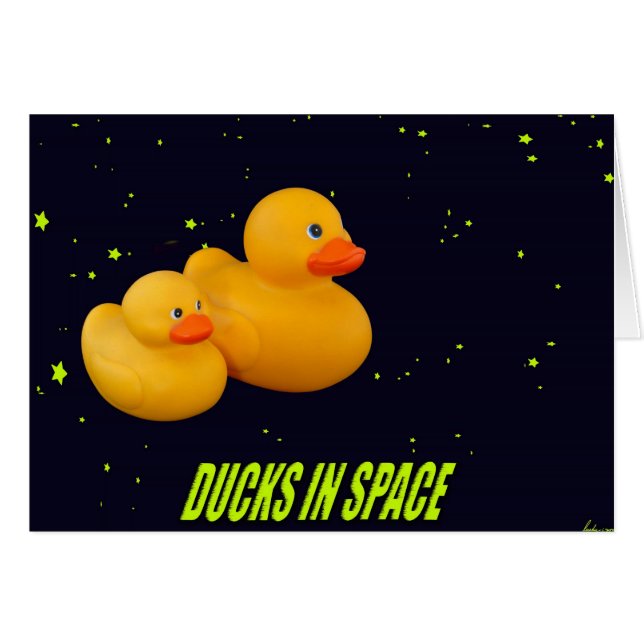 Les canards intergalactiques (Devant horizontal)