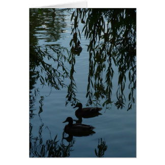 Les canards sous le saule