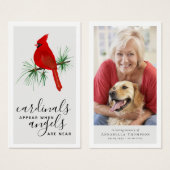 Les Cardinaux Apparaissent Des Anges Près De La Ca (Devant & derrière)