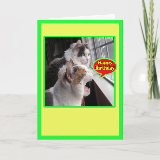 Les Cartes De Chat Joyeux Anniversaire Drole Zazzle Be