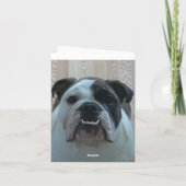 Les cartes de crédit ! (Dos)