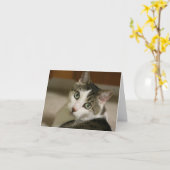 Les cartes de note les plus minuscules de tigre (Fleur jaune)